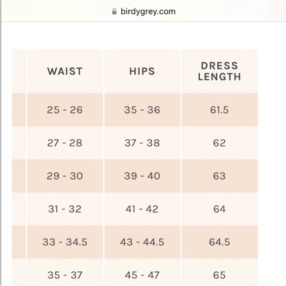 Birdy Grey Sea Glass Grace Bridesmaid Convertible Chiffon Dress - Picture 15 of 15